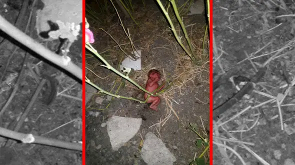 تصویری تلخ از نوزاد دختر رها شده در صالح‌آباد 