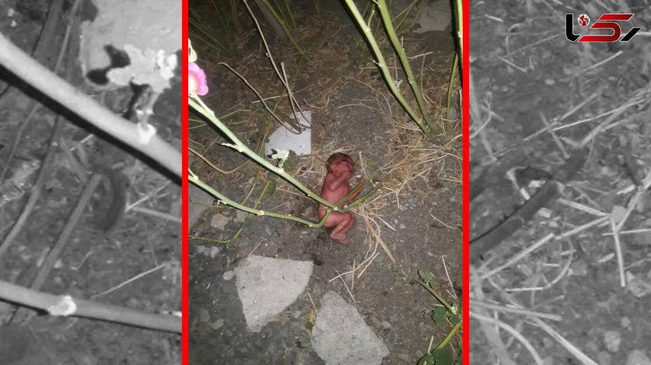 تصویری تلخ از نوزاد دختر رها شده در صالح‌آباد 