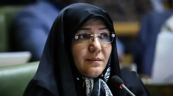 انتقاد عضو شورا از سیاسی ‌کاری در صحن شورا