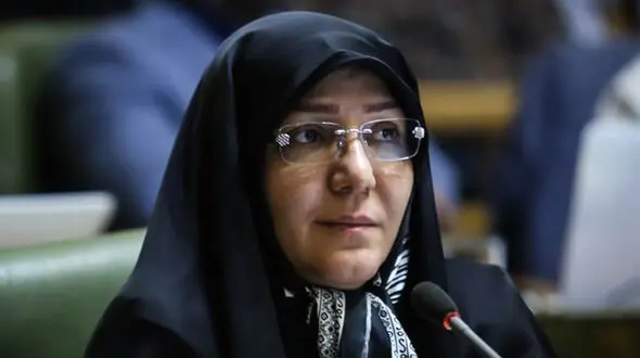 انتقاد عضو شورا از سیاسی ‌کاری در صحن شورا