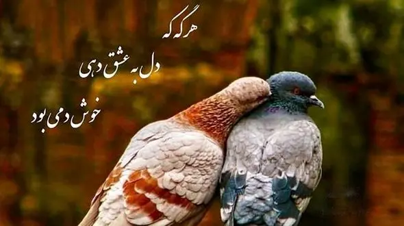 فال حافظ امروز / 9 خرداد با تفسیر دقیق + فیلم