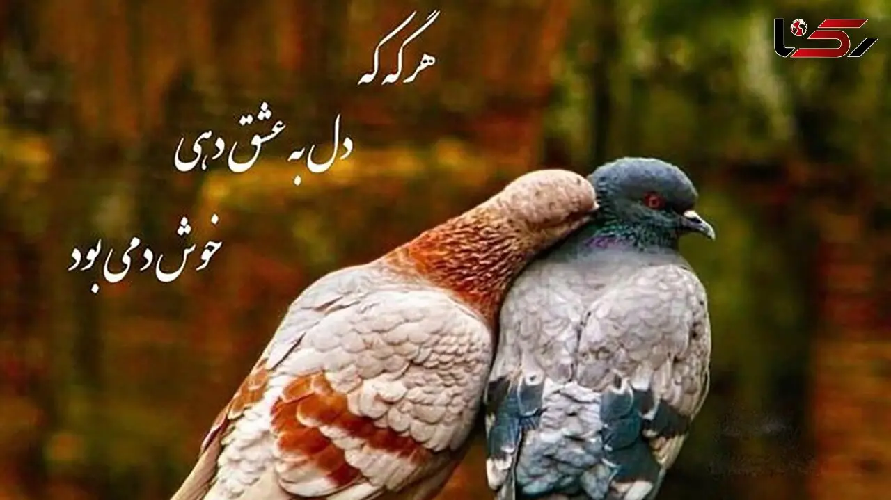 فال حافظ امروز / 9 خرداد با تفسیر دقیق + فیلم