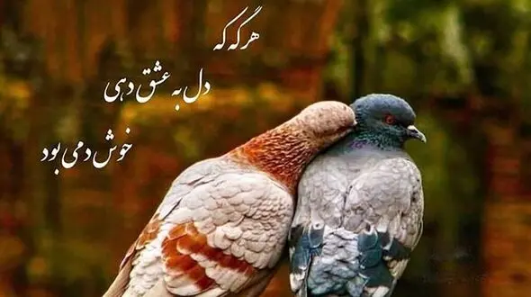 فال حافظ امروز / 9 خرداد با تفسیر دقیق + فیلم