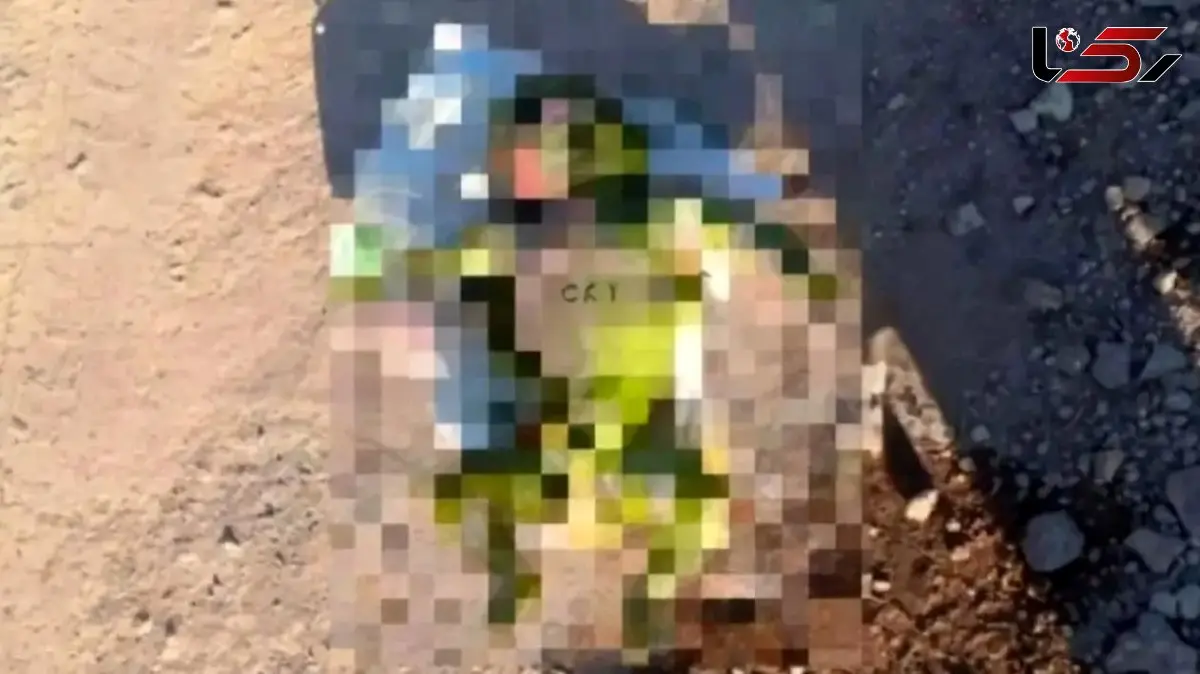 کشف جسد یک نوزاد در کانال آب قیامدشت / صحنه ای که دلتان را به درد می آورد