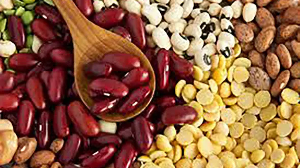 حبوبات چراغ خاموش گران شد/ تخم مرغ ارزان