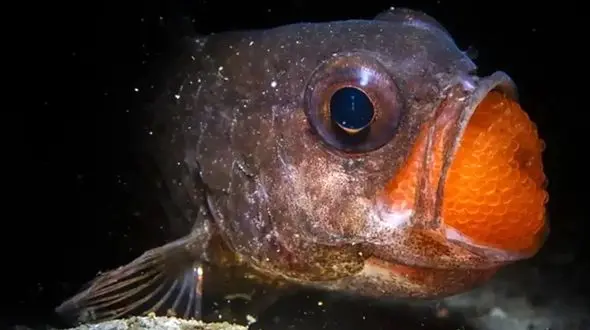 عکس‌ های نفس‌ گیر طبیعت 2025: لحظات بی‌ نظیر حیات وحش از قلب سیاره زمین