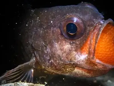 عکس‌ های نفس‌ گیر طبیعت 2025: لحظات بی‌ نظیر حیات وحش از قلب سیاره زمین