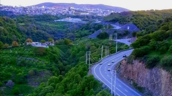 قطع درخت 300 ساله در سردشت / 10 سال آینده زاگرس نابود خواهد شد + فیلم