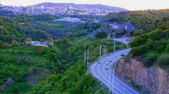 قطع درخت 300 ساله در سردشت / 10 سال آینده زاگرس نابود خواهد شد + فیلم