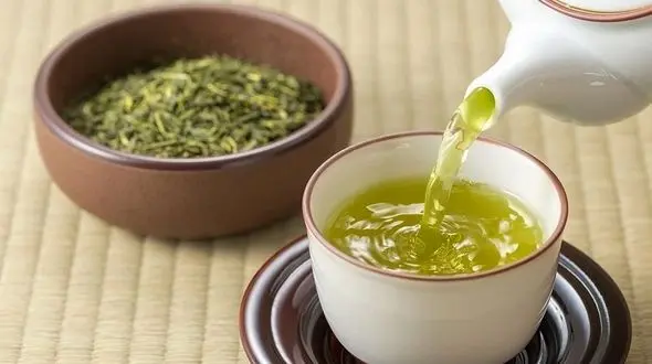 تاثیر این گیاه عجیب در کاهش التهاب ریه