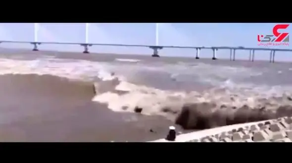 موج عظیمی که یک مرد را بلعید! + فیلم 