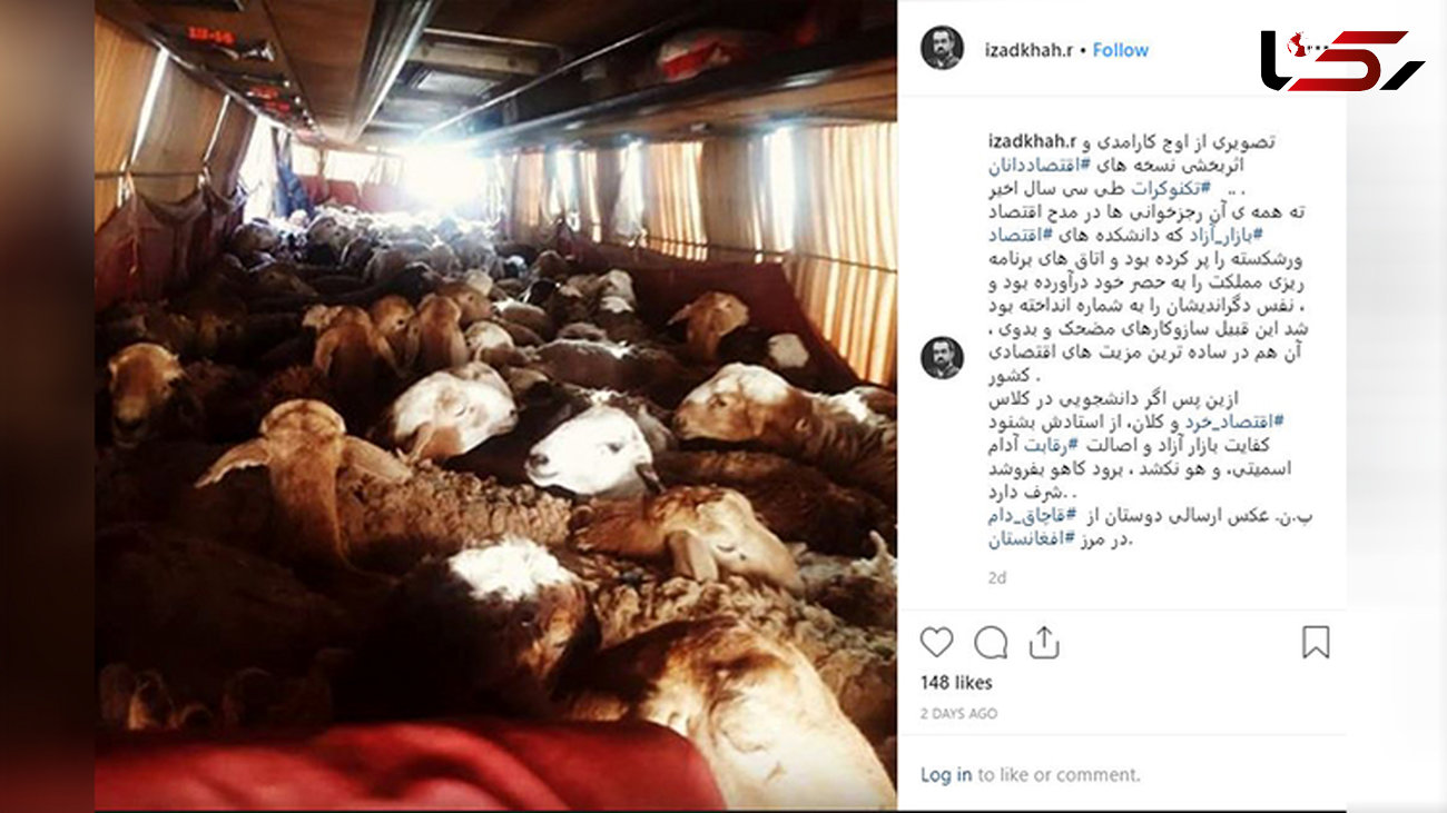 انتشار تصویری مبنی بر قاچاق گوسفند با اتوبوس در فضای مجازی+عکس
