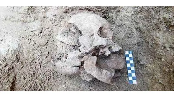 کشف اسکلت خون آشام 10 ساله! + عکس