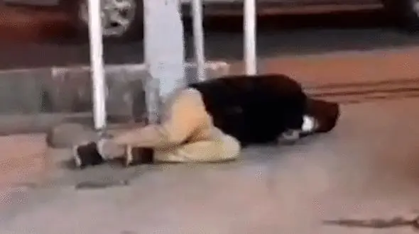 مرد اراکی با سرفه های وحشتناک روی زمین افتاد ! / هیچ کس به کمکش نرفت + فیلم