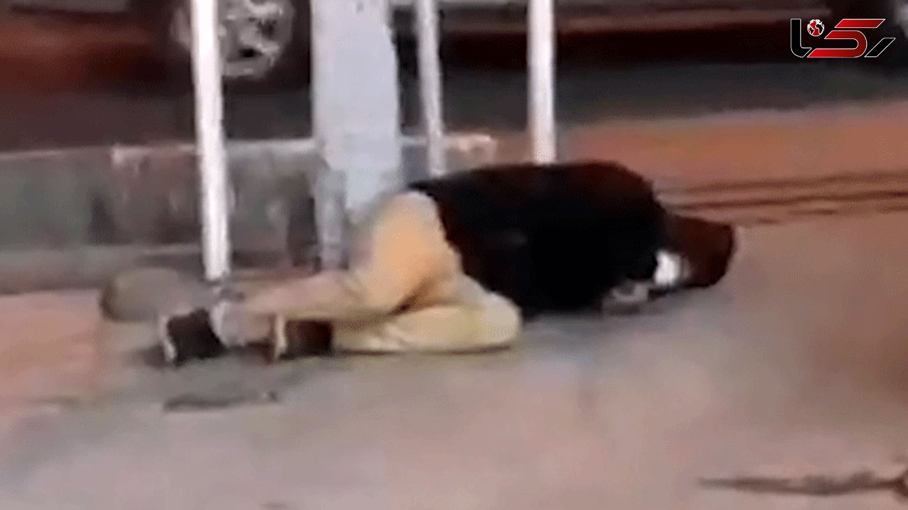مرد اراکی با سرفه های وحشتناک روی زمین افتاد ! / هیچ کس به کمکش نرفت + فیلم