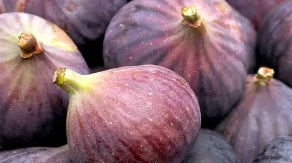 میوه تابستانی موثر در کاهش التهاب