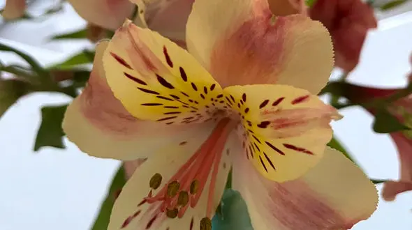 فال ابجد امروز 10 اردیبهشت ماه + فیلم