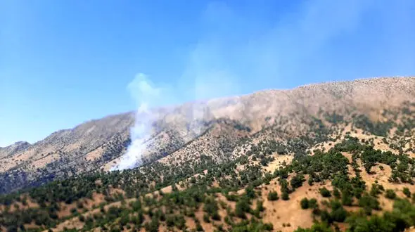 جنگل‌های «باشت» همچنان در آتش می‌سوزد 