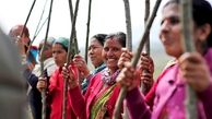 کاشت 50 میلیون نهال درخت در یک روز/ رکوردی که به دست 800 هزار شهروند هندی شکسته شد