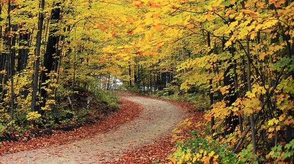 فال ابجد امروز / 8 آبان ماه + فیلم 