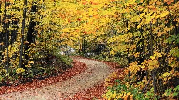 فال ابجد امروز / 8 آبان ماه + فیلم 