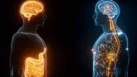 جوانسازی مغز تا چندین دهه فقط با کاهش چربی شکم