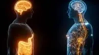 جوانسازی مغز تا چندین دهه فقط با کاهش چربی شکم