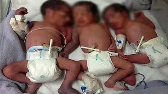 پایان داستان فروش 3 قلوهای اراکی با دستور دادستان