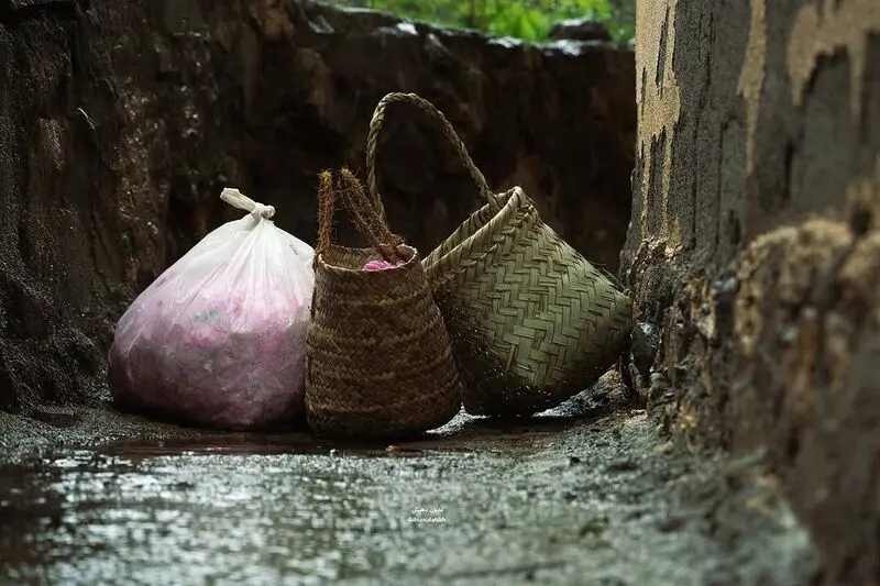 باغ گل محمدی در جبل الاخضر عمان