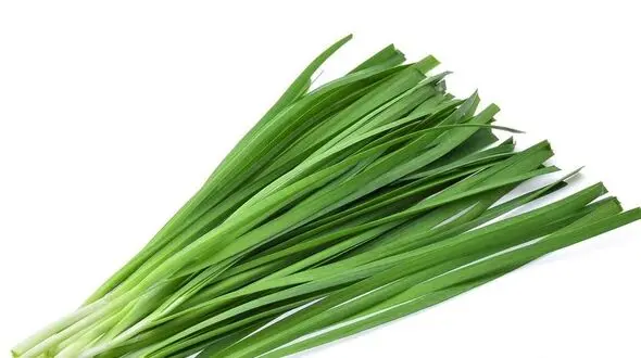 سبزی درمان کننده ناراحتی کبد و کم خونی 