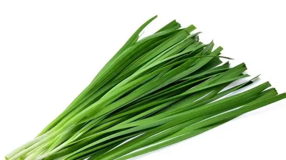 سبزی درمان کننده ناراحتی کبد و کم خونی 