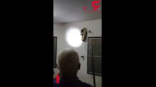 این پایتون عظیم در داخل دیوار  پنهان شده بود + فیلم