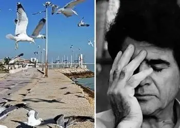 آواز بوشهری؛ محمدرضا شجریان تو حال هوای بوشهر یک نفس زد و هدر شد خوند