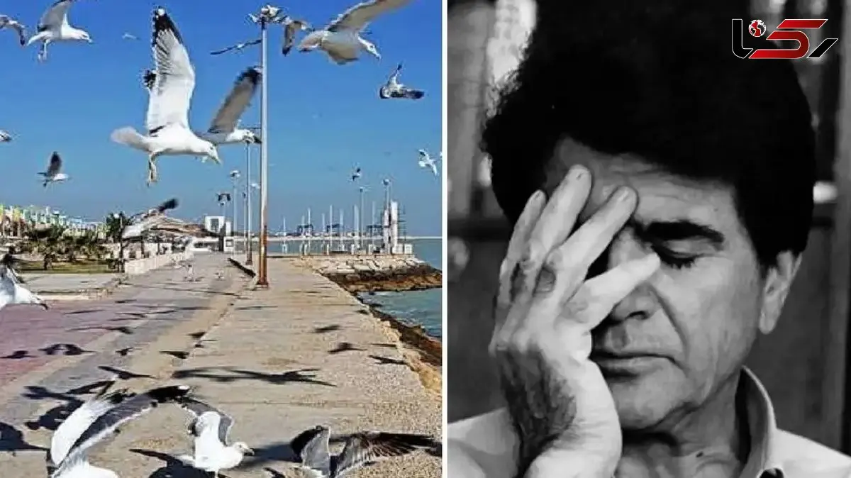 آواز بوشهری؛ محمدرضا شجریان تو حال هوای بوشهر یک نفس زد و هدر شد خوند