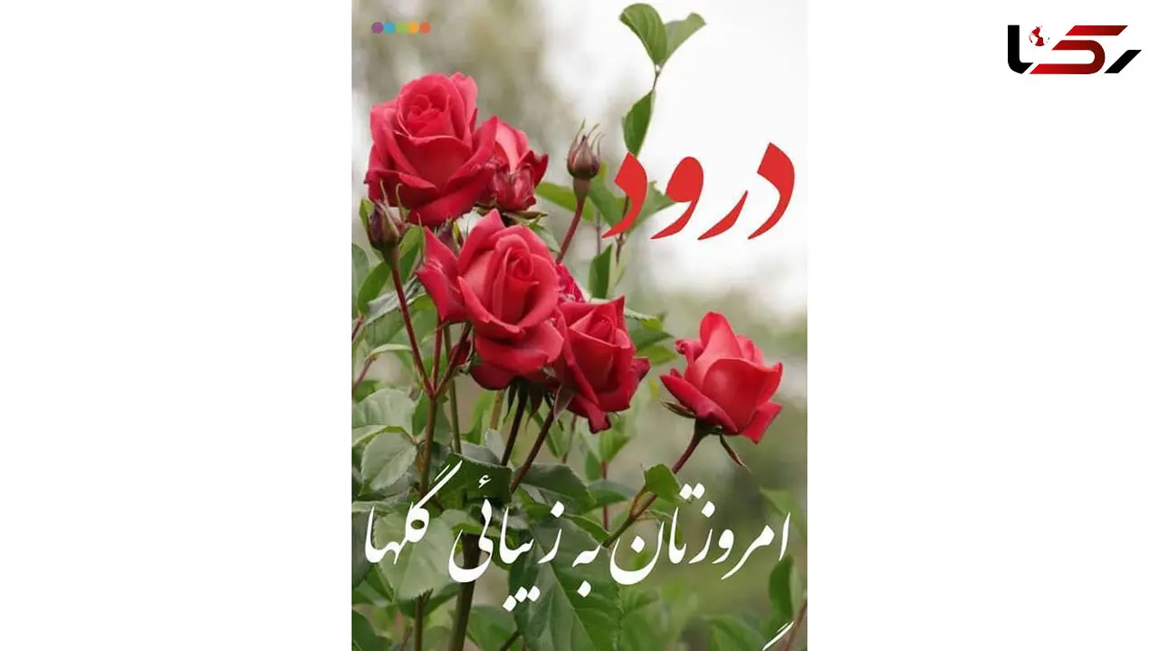 فال و طالع بینی امروز 15 مهر + فیلم 