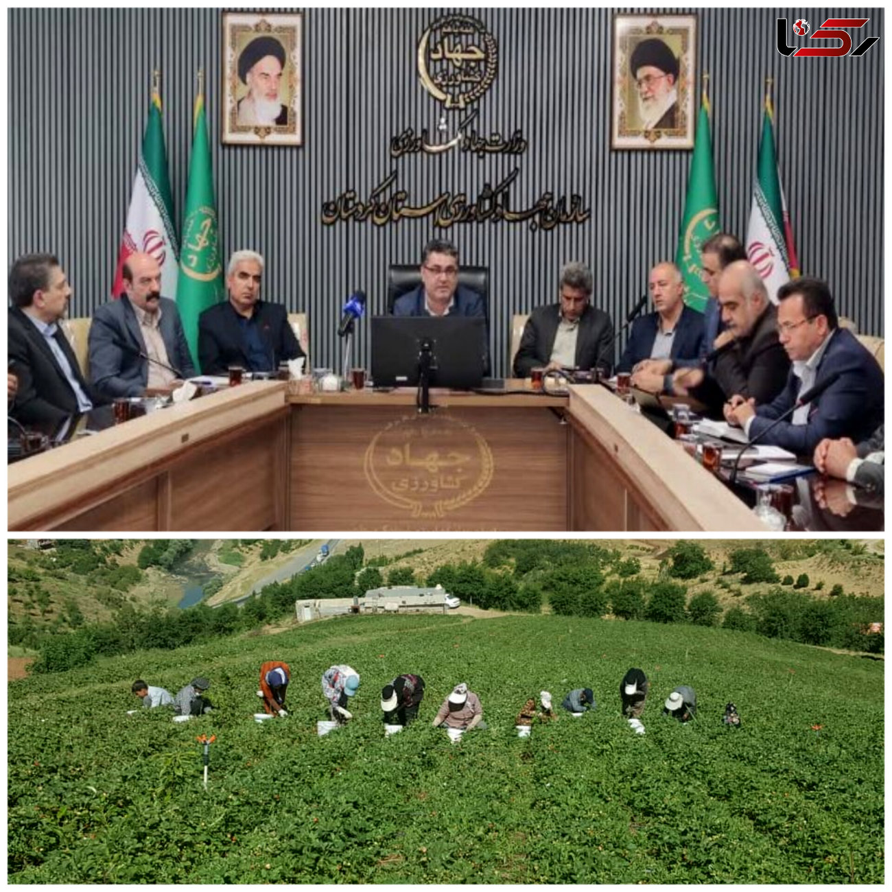   افزایش تولید محصولات کشاورزی کردستان به ۴.۳ میلیون تن/  کردستان جزو استانهای مهم ایران در زمینه تامین امنیت غذایی است
