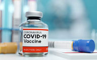 واکسن کرونا روی باروری تاثیر می گذارد؟