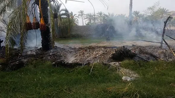 فیلم آتش سوزی وحشت آور نخلستان های 3 روستا در آبادان