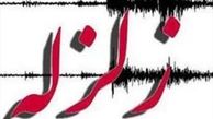 زلزله ۴.۹ ریشتری فاریاب کرمان خسارتی نداشت/ دهیاران در آماده‌باش هستند