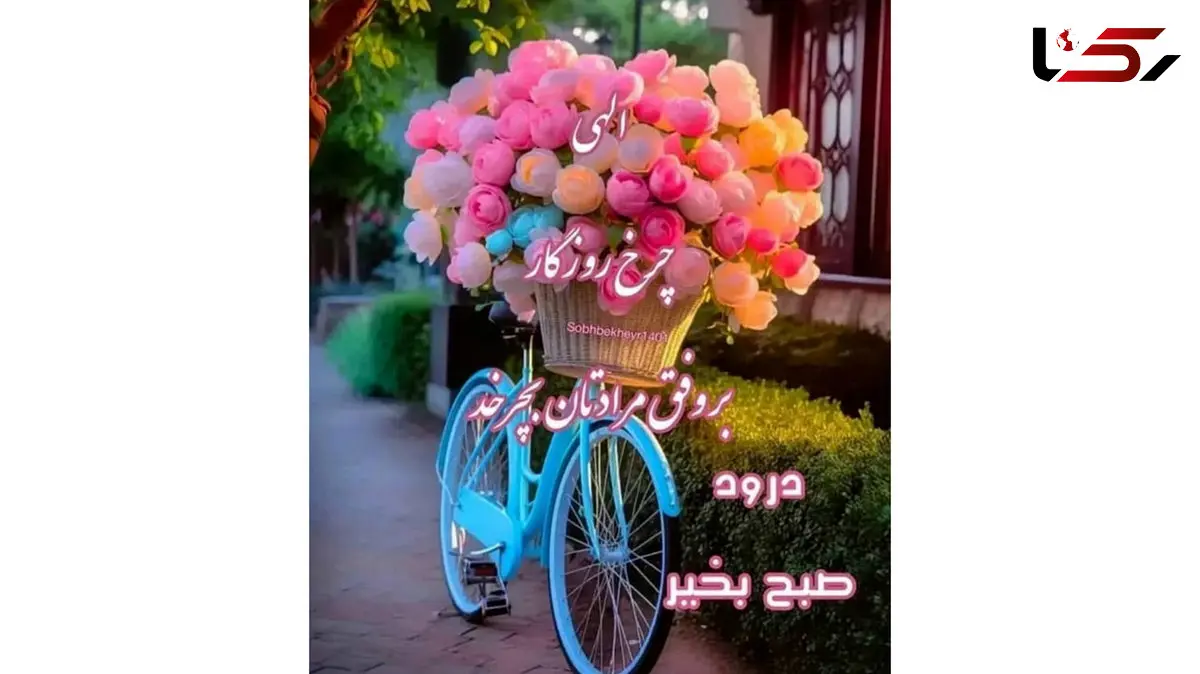 فال و طالع بینی امروز 19 دی 