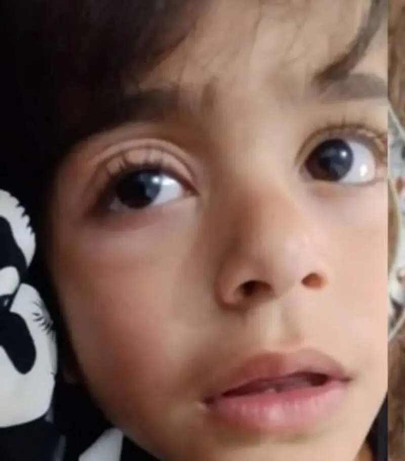 حمله زنبورها