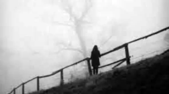 نیما به فکر عیاشی و خوشگذرانی با زنان غریبه بود / شوهرم مطرب جشن های عروسی بود