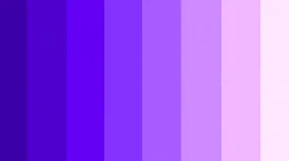 یکرنگ و جذاب باشید/ چطور مونوکروم بپوشیم؟