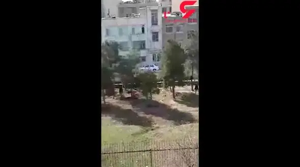 قطع درختان زمینی که قرار بود در مجیدیه شمالی پارک شود ! + فیلم