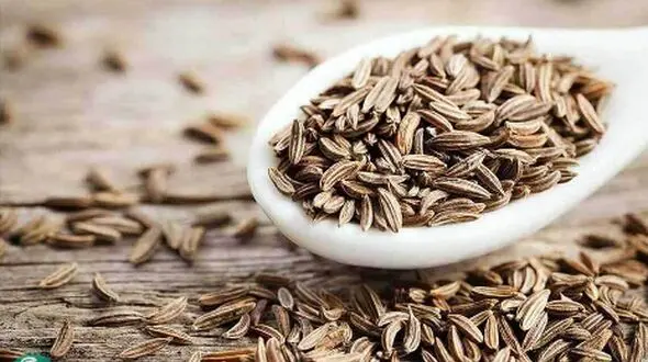 خواص ضدسرطانی این داروی گیاهی را بشناسید