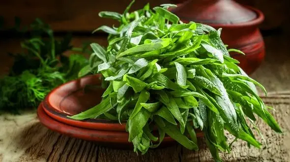سبزی های معطری که نقش درمانگری دارند
