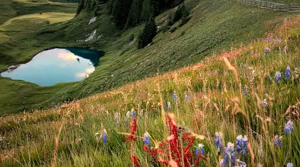 زندگی را با نگاهتان زیبا کنید