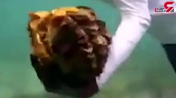 دردسر عجیب بازیگر زن مطرح کره جنوبی در تایلند! +فیلم 