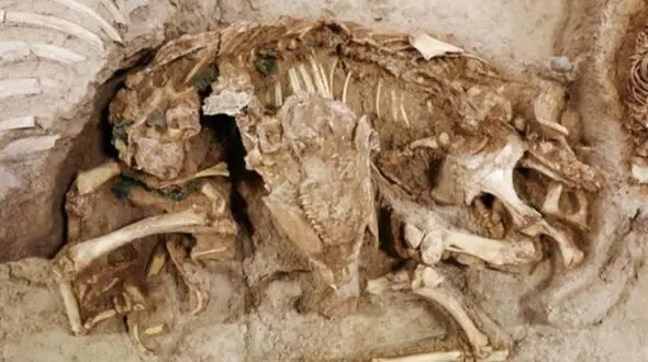کشف شش اسکلت چهار هزار ساله در بابل