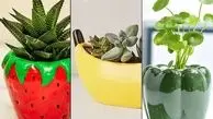گلدان طرح میوه‌ ای خاص و سفارشی برای منزل شما